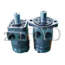 Moteur hydraulique (type Ray)